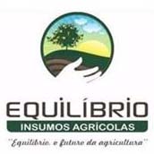 Equilíbrio Insumos